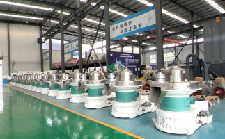 新手開顆粒廠，該選小型還是大型木屑顆粒機(jī)？